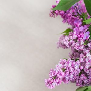 Aldamar_Nosotros_Pasion_1441